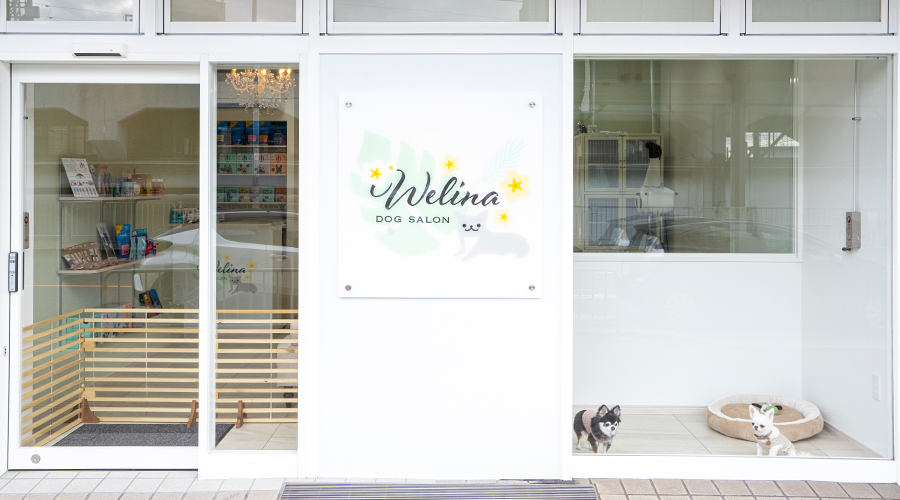 愛犬とLOHASなひとときを４