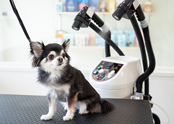 DOGWELL ドッグウェル DHA-75A 東光舎トリミング