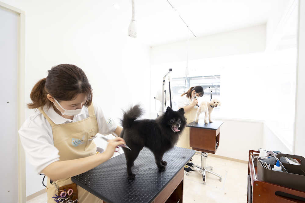 私たちと共に働いていただけるスタッフ1